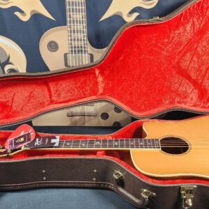 Tagima Juninho Afram EQ